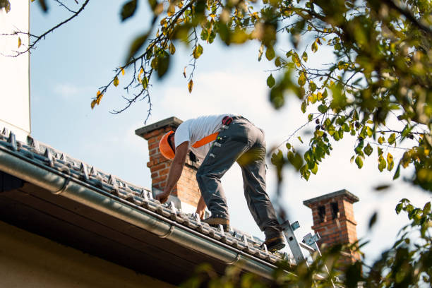Roof Gutter Cleaning in Shell Rock, IA