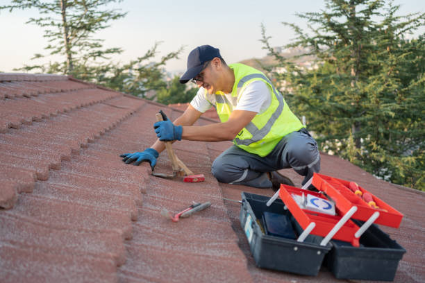 Roof Gutter Cleaning in Shell Rock, IA